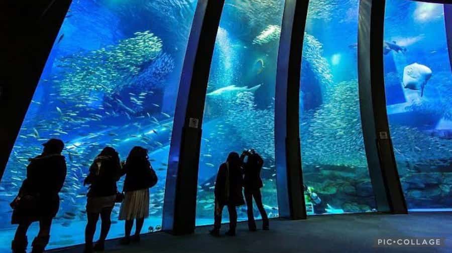 From Tokyo: Private Full day Yokohama Tour w/Hotel Pick up - Ramen Museum turns lunch into a sightseeing stop