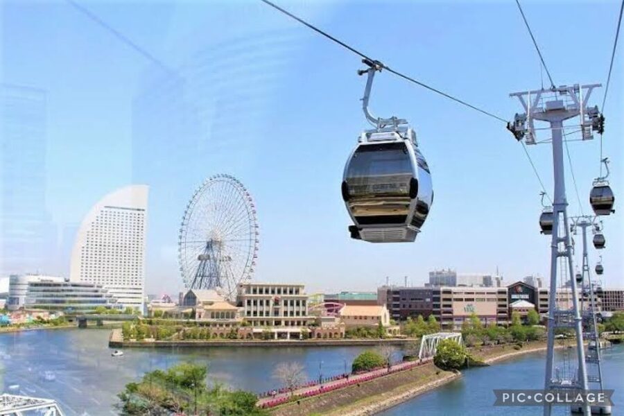 From Tokyo: Private Full day Yokohama Tour w/Hotel Pick up - Landmark Tower’s Sky Garden supplies the wide view