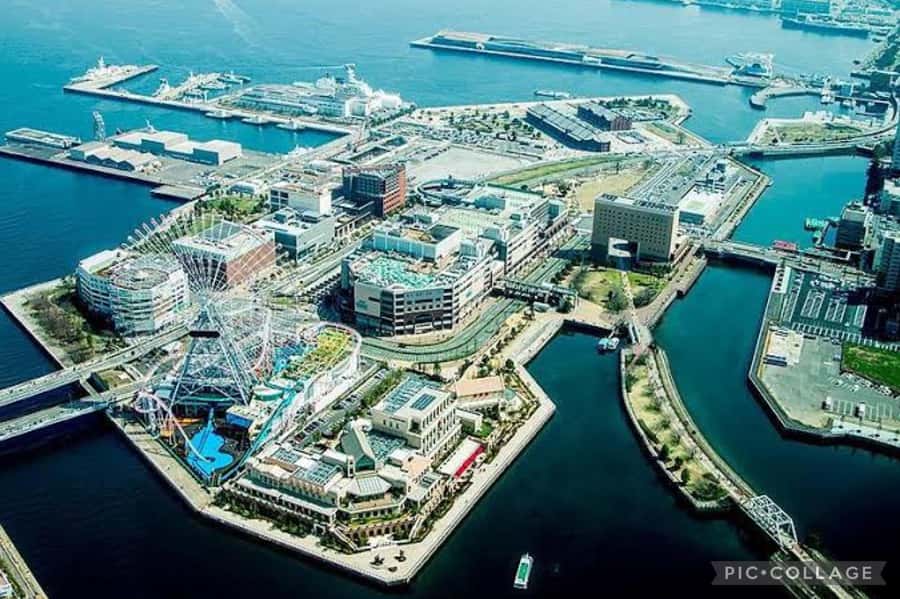 From Tokyo: Private Full day Yokohama Tour w/Hotel Pick up - How to get better value from the day