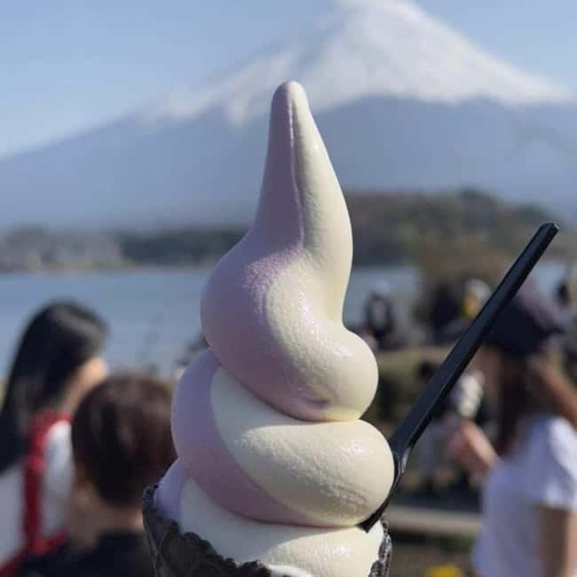 From Tokyo Private Mount Fuji & Hakone Day Trip With Pick Up - Who Gets the Best Value