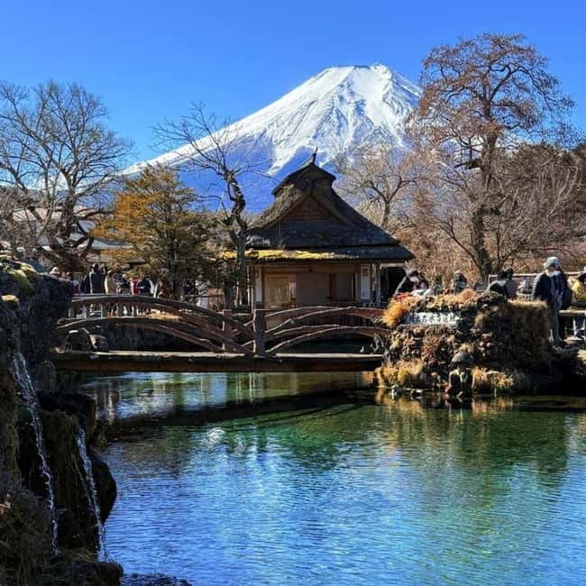 From Tokyo Private Mount Fuji & Hakone Day Trip With Pick Up - Crossing Into Hakone by Ropeway