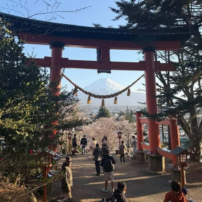 From Tokyo Private Mount Fuji & Hakone Day Trip With Pick Up - Yamanashi and Gotemba Shopping