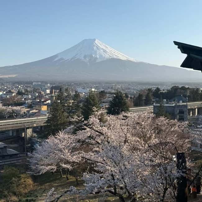 From Tokyo Private Mount Fuji & Hakone Day Trip With Pick Up - How the Day Feels in Practice