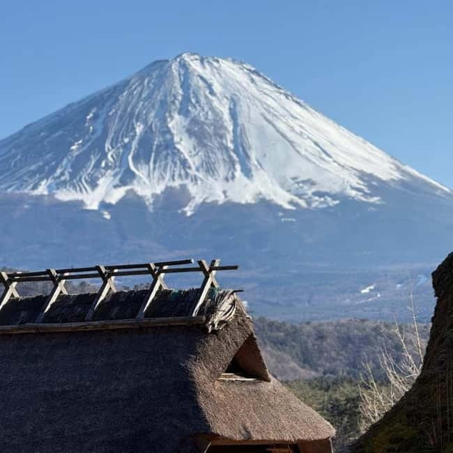 From Tokyo Private Mount Fuji & Hakone Day Trip With Pick Up - Lake Kawaguchiko and Oishi Park