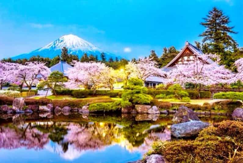 From Tokyo:private Mount Fuji tour with guide - Oshino Hakkai shows Fuji through water and village life