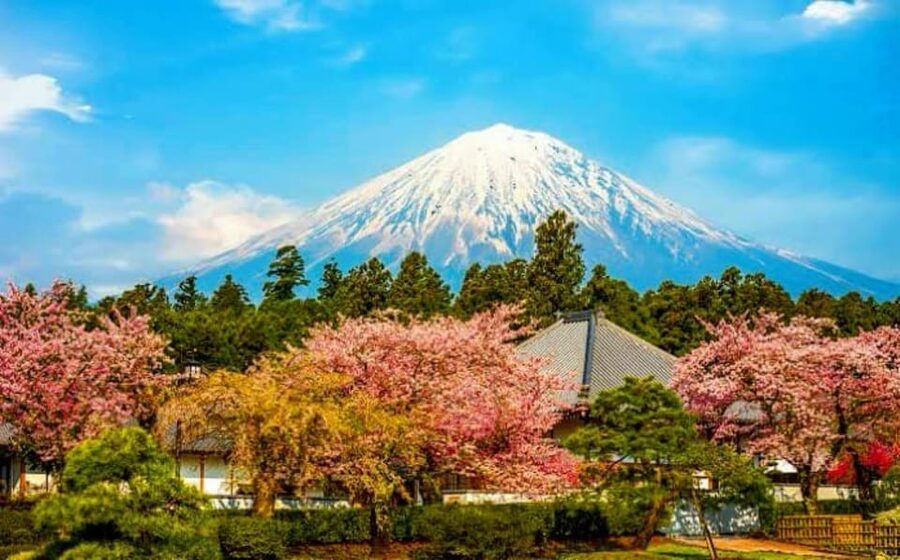 From Tokyo:private Mount Fuji tour with guide - Lake Kawaguchiko and Oishi Park offer two different Fuji views