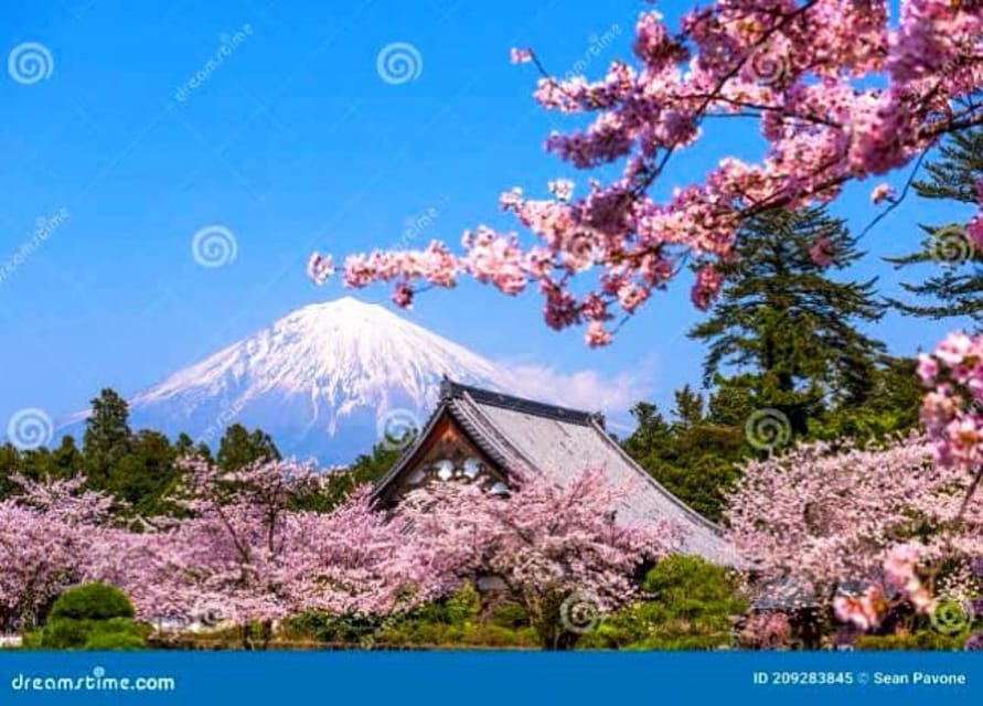 From Tokyo:private Mount Fuji tour with guide - The 5th Station needs careful summer planning