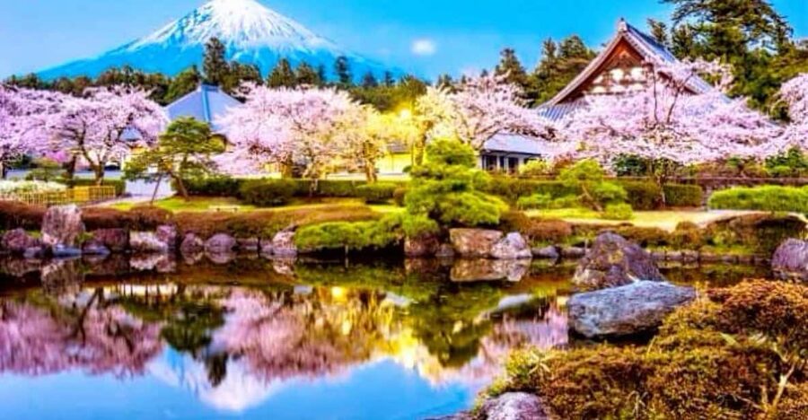 From Tokyo:private Mount Fuji tour with guide - Chureito Pagoda gives you the picture everyone wants