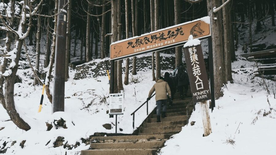 From Tokyo: Private Tour Snow Monkey Park & Zenko-ji Temple - Shibu Onsen offers traditional mountain-town atmosphere