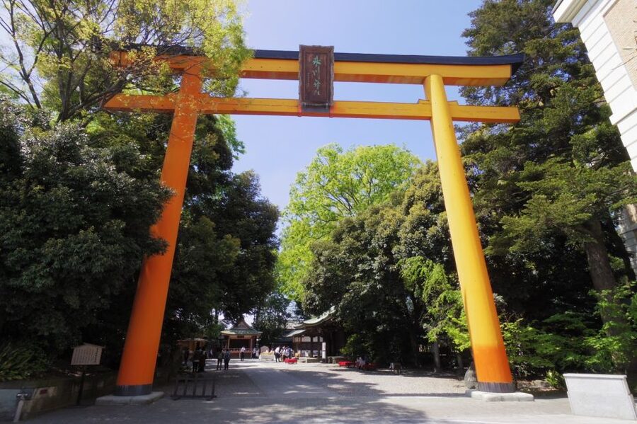 From Tokyo: Round-Trip Fare to Kawagoe City - The Train Ride to Kawagoe