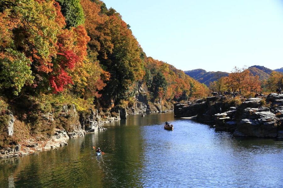 From Tokyo: Seibu Railway 1 Day Pass and Nagatoro - Key points to know before you book