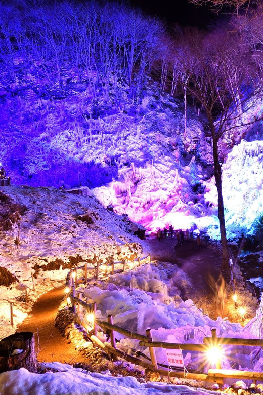 From Tokyo: Seibu Railway 1 Day Pass and Nagatoro - Chichibu and the pink moss fields of Hitsujiyama Park