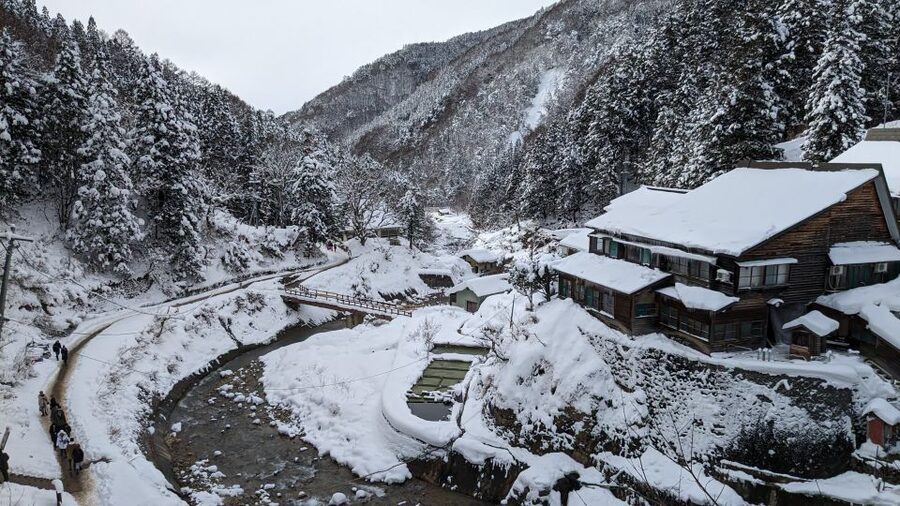 From Tokyo: Snow Monkey 1 Day Tour with Beef Sukiyaki Lunch - The Kamakura snow huts from January 23 to March 1, 2026
