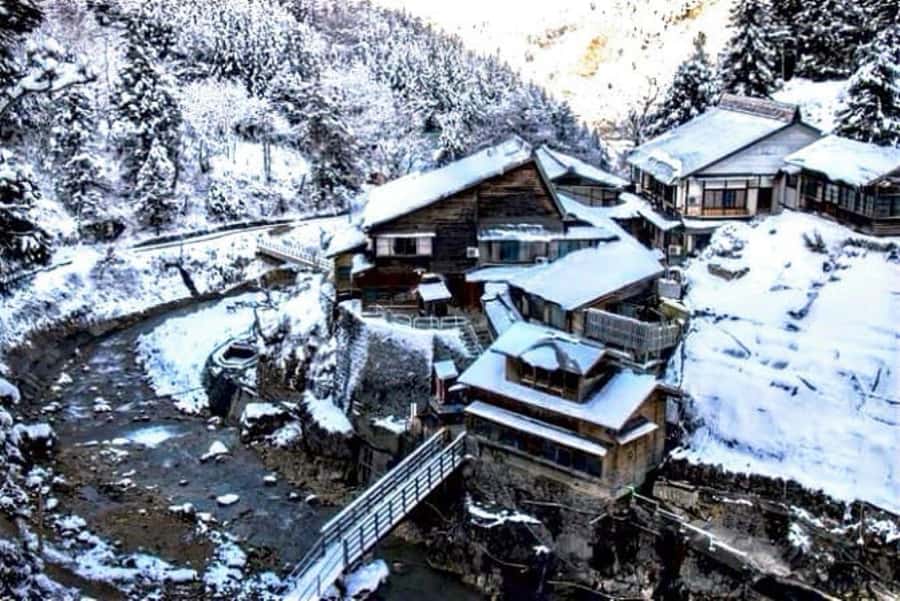 From Tokyo: Snow Monkey Park and Zenkoji Temple Private Tour - Pickup, vehicles, and comfort on the road