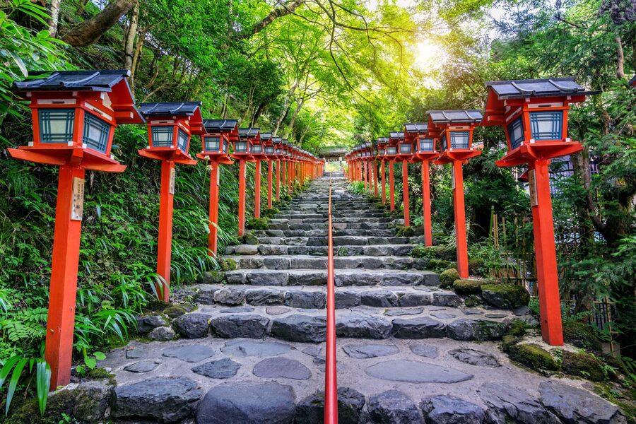 From Tokyo: Snow Monkeys and Zenkoji Temple Day Trip - Drivers, Languages, and the Private Format