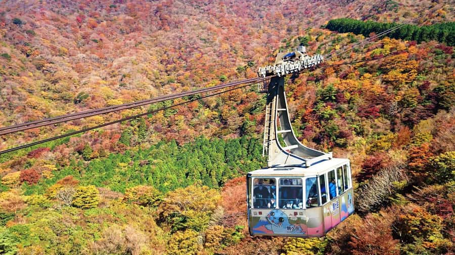 From Tokyo to Hakone: Train Tickets and Hakone Free Pass - Odawara is your gateway to Hakone