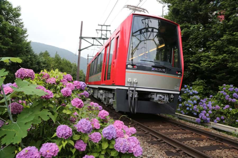 From Tokyo to Hakone: Train Tickets and Hakone Free Pass - The 9:00 AM departure from Tokyo Station