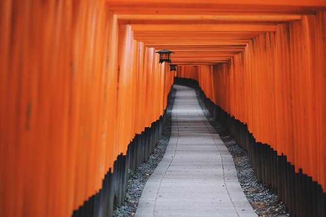 From Tokyo to Kyoto and Nara: A Captivating Full-Day Private Tour - Starting with Nara Park and its free-roaming deer