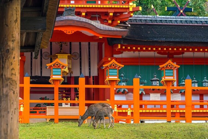 From Tokyo to Kyoto and Nara: A Captivating Full-Day Private Tour - Lunch under Kyoto Station at Porta Dining