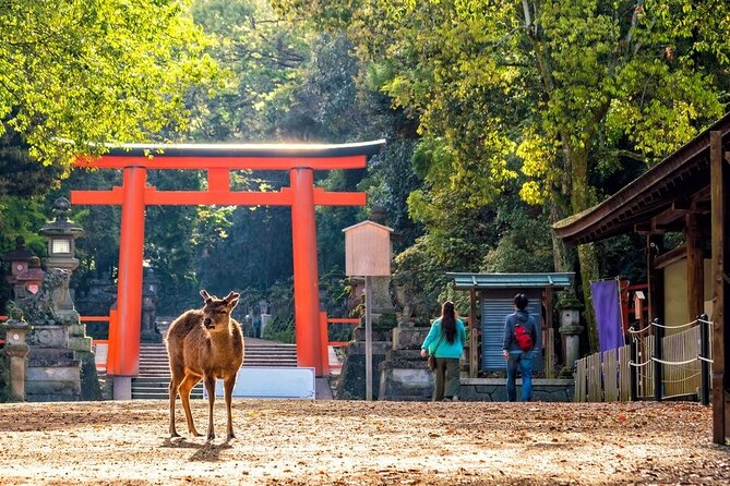 From Tokyo to Kyoto and Nara: A Captivating Full-Day Private Tour - Fushimi Inari and the red torii gates