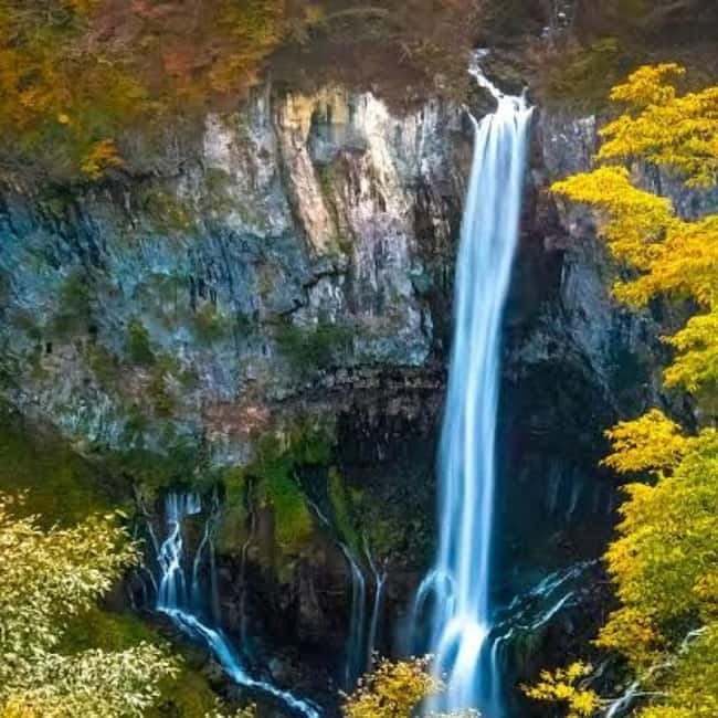 From Tokyo To Nikko Private Day Tour With English Guide - Toshogu Shrine, the Day’s Main Cultural Visit