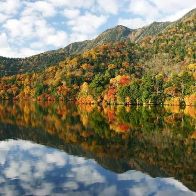 From Tokyo To Nikko Private Day Tour With English Guide - Edo Wonderland and the Natural Science Museum
