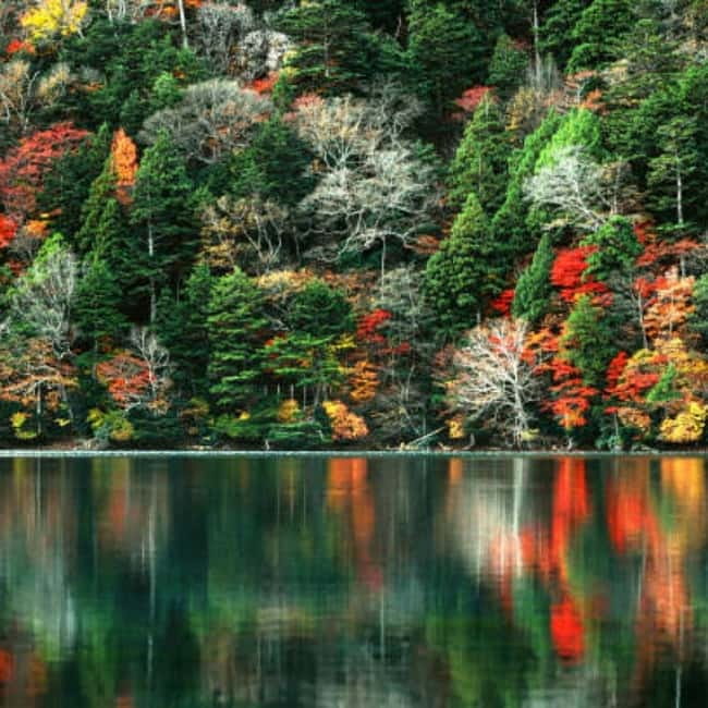 From Tokyo To Nikko Private Day Tour With English Guide - Timing, Food, and What to Bring