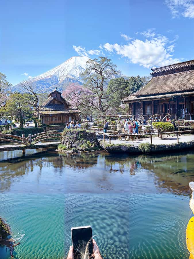 From Tokyo/Yokohama: Mount Fuji and Hakone Private Day Trip - Why a private vehicle helps around Mount Fuji