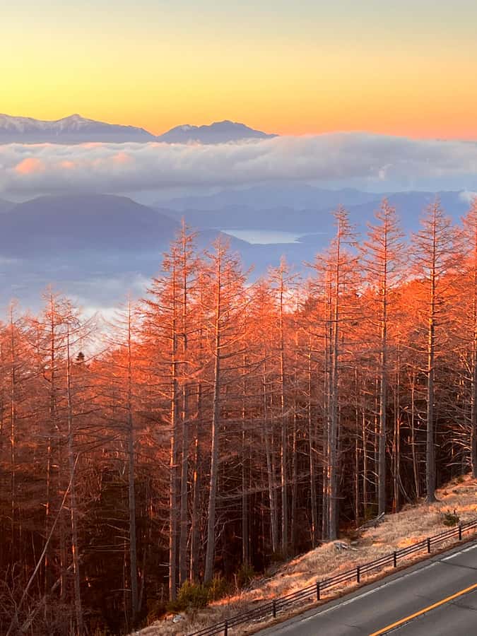 From Tokyo/Yokohama: Mount Fuji and Hakone Private Day Trip - Chureito Pagoda and the climb at Arakurayama