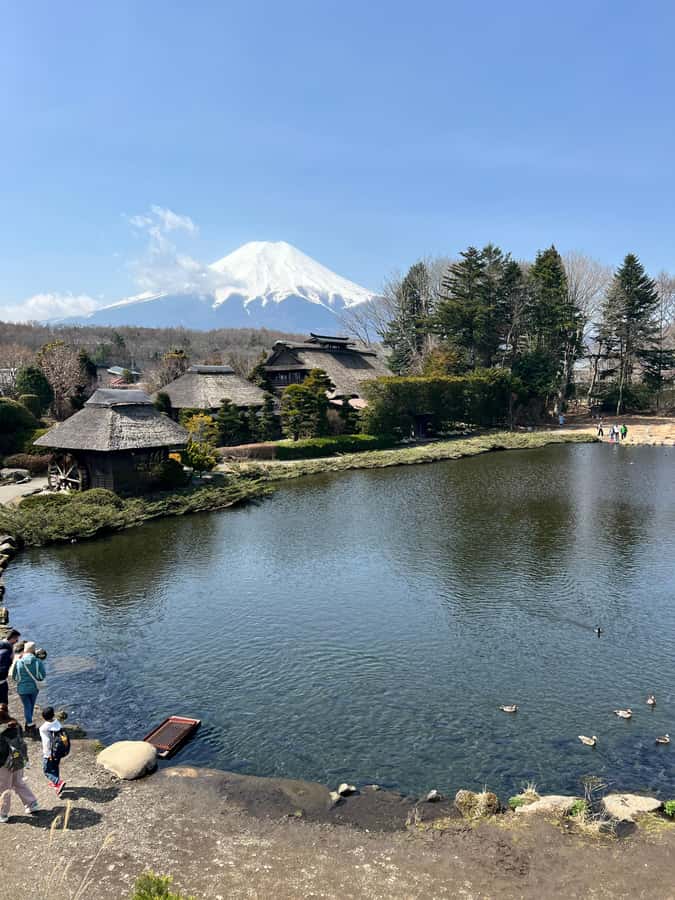From Tokyo/Yokohama: Mount Fuji and Hakone Private Day Trip - Oshino Hakkai, where Fuji snow feeds eight ponds