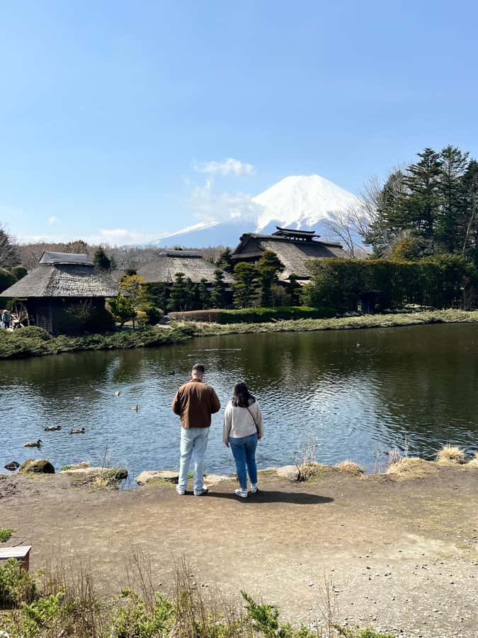 From Tokyo/Yokohama: Mount Fuji and Hakone Private Day Trip - Hakone National Park and volcanic Owakudani