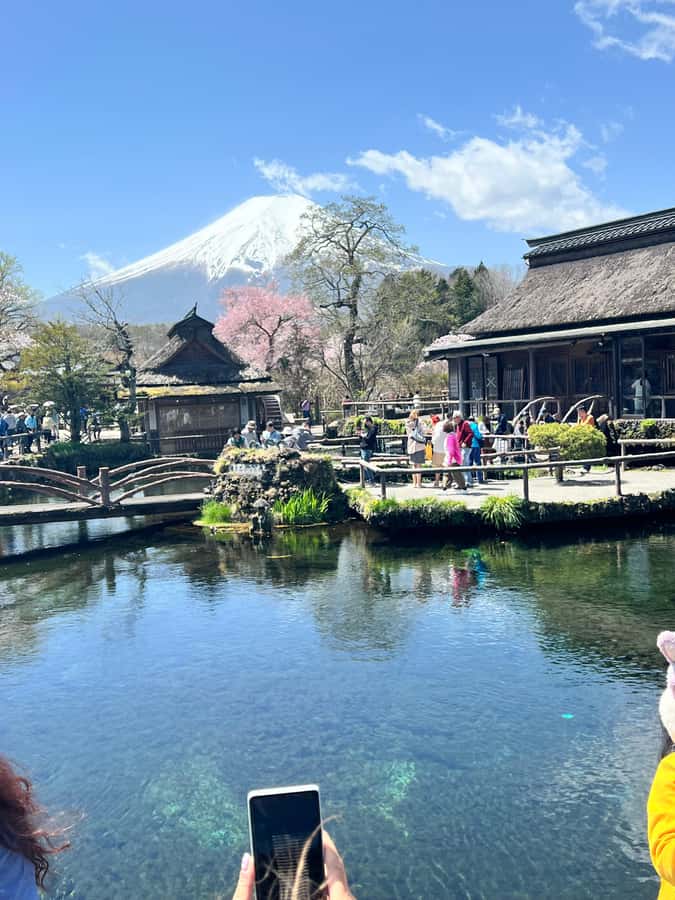 From Tokyo/Yokohama: Mount Fuji and Hakone Private Day Trip - Lake Ashi boat rides and the Hakone Open Air Museum