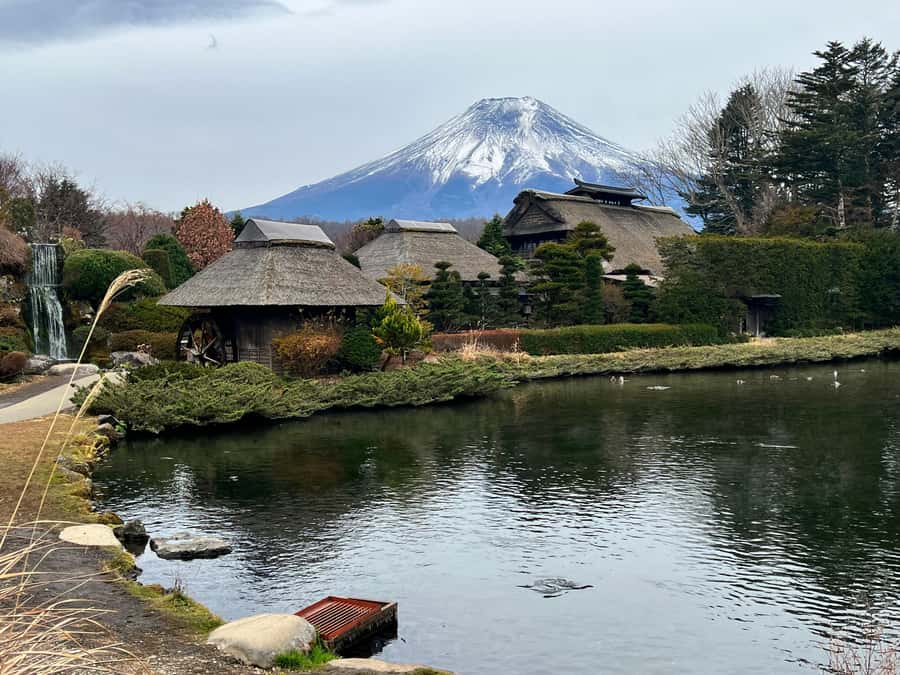 From Tokyo/Yokohama: Mount Fuji and Hakone Private Day Trip - Oishi Park and Lake Kawaguchi