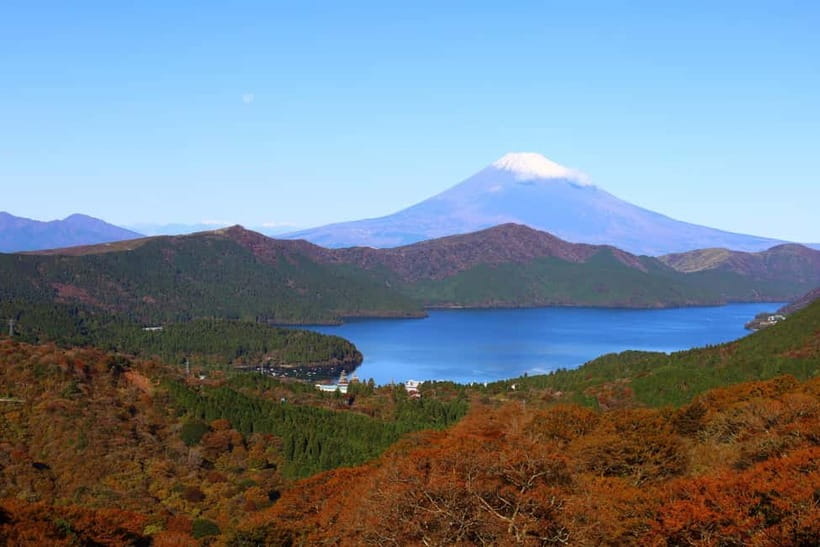 Fuji,Hakone Ropeway/Cruise/Shinkansen Ride w/lunch frm Tokyo - The Shinkansen return from Odawara to Shinagawa
