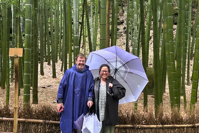 Full Day Kamakura Tour, From/To Tokyo, Yokohama, 2- 12 guests - Hase-dera and the Kannon statue