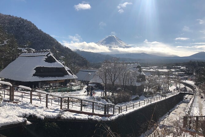 Full Day Mt.Fuji Tour , From/To Tokyo, Yokohama, 2- 12 guests - Fujiyoshida lunch and a needed pause