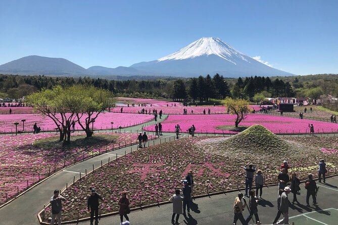 Full Day Mt.Fuji Tour , From/To Tokyo, Yokohama, 2- 12 guests - What the private van adds to the day