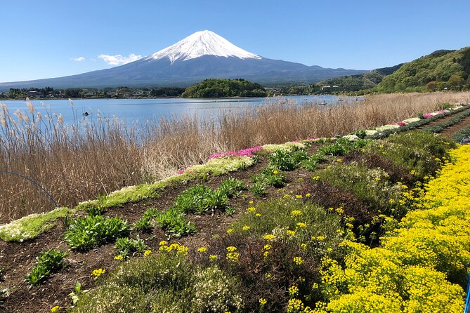 Full Day Mt.Fuji Tour , From/To Tokyo, Yokohama, 2- 12 guests - Weather, visibility, and the Fuji gamble