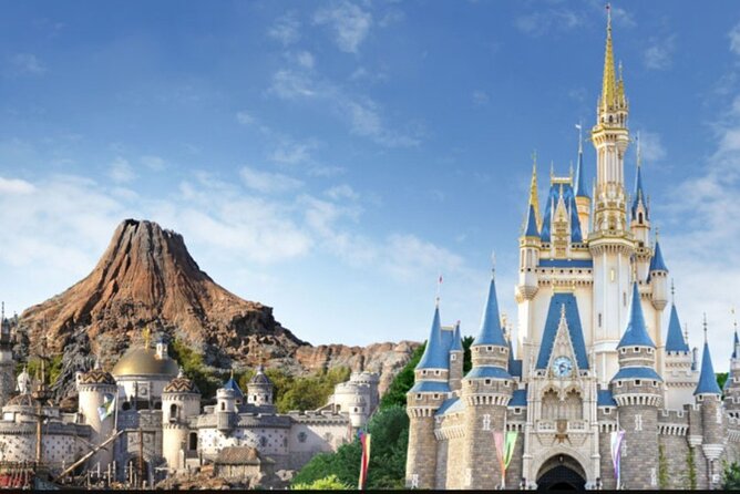 Full Day Private Guided Photographer and Driver in Tokyo Disney - Key details that shape the day