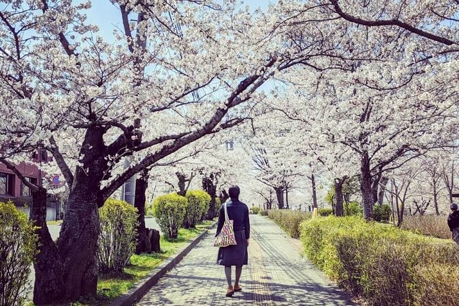 Full-Day Private Nikko Tour from Tokyo wd English Speaking Driver - Akechidaira for the classic mountain view