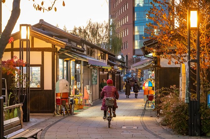 Full-Day Private Nikko Tour from Tokyo wd English Speaking Driver - Toshogu Shrine and the Tokugawa story
