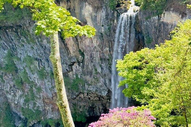 Full-Day Private Nikko Tour from Tokyo wd English Speaking Driver - Tamozawa Imperial Villa for a quieter contrast