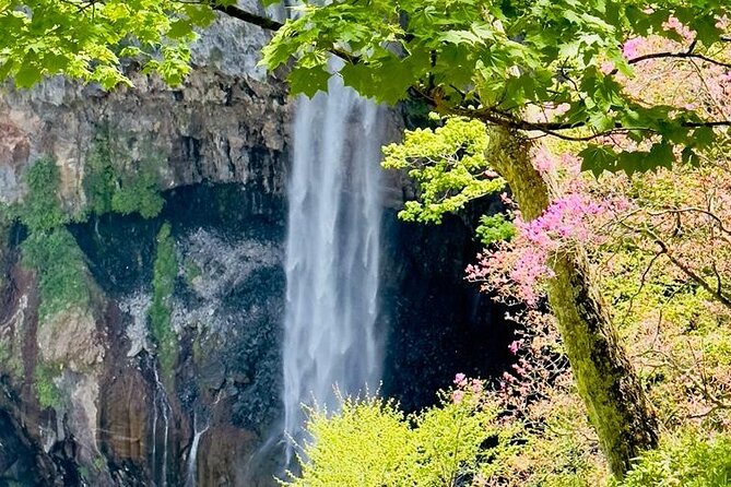 Full-Day Private Nikko Tour from Tokyo wd English Speaking Driver - Shinkyo Bridge and a brief historic finish