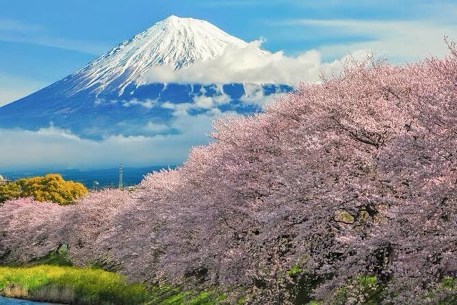 Full Day Private Tour of Mt Fuji - Oishi Park pairs lake and mountain in one frame