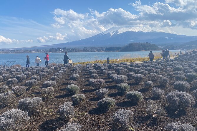 Full Day Private Tour to Mt Fuji by Luxury Vehicle - Lake Kawaguchiko and the Fuji view