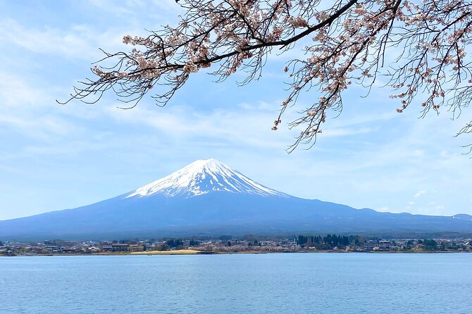 Full Day Private Tour to Mt Fuji by Luxury Vehicle - Houtou Fudou and the regional noodle bowl