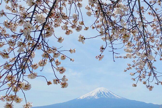 Full Day Private Tour to Mt Fuji by Luxury Vehicle - Saiko Iyashi no Sato Nemba by Lake Saiko