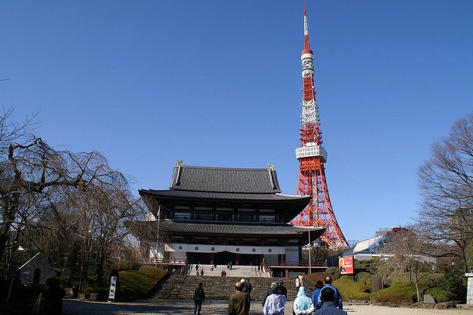 Full Day Tokyo Tour, From/To Tokyo,Yokohama, Narita, 2- 12 guests - Quiet Paths at Meiji Jingu