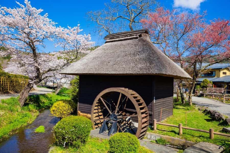 Full-Day Tour to the Picturesque Spots of Mount Fuji - Key points to know before booking