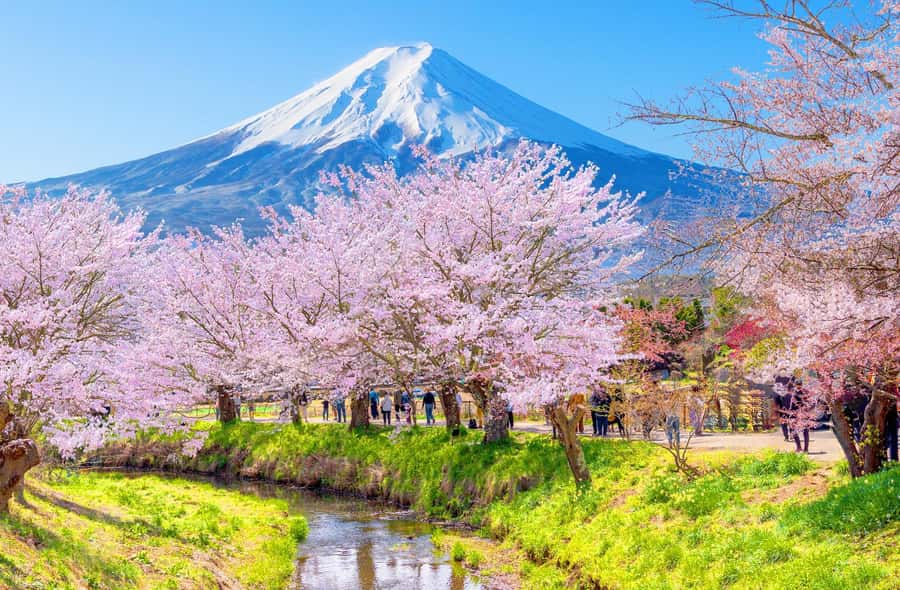 Full-Day Tour to the Picturesque Spots of Mount Fuji - Saiko Iyashi-no-Sato Nenba and its thatched roofs